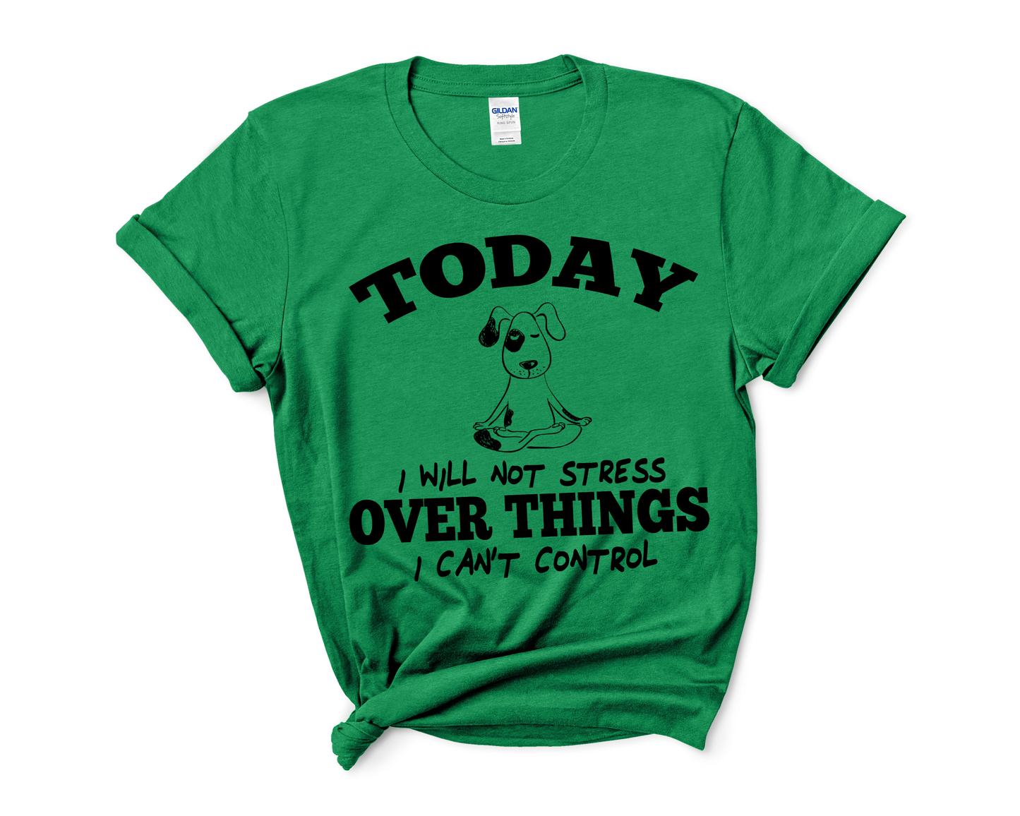 "TODAY I WILL NOT STRESS"