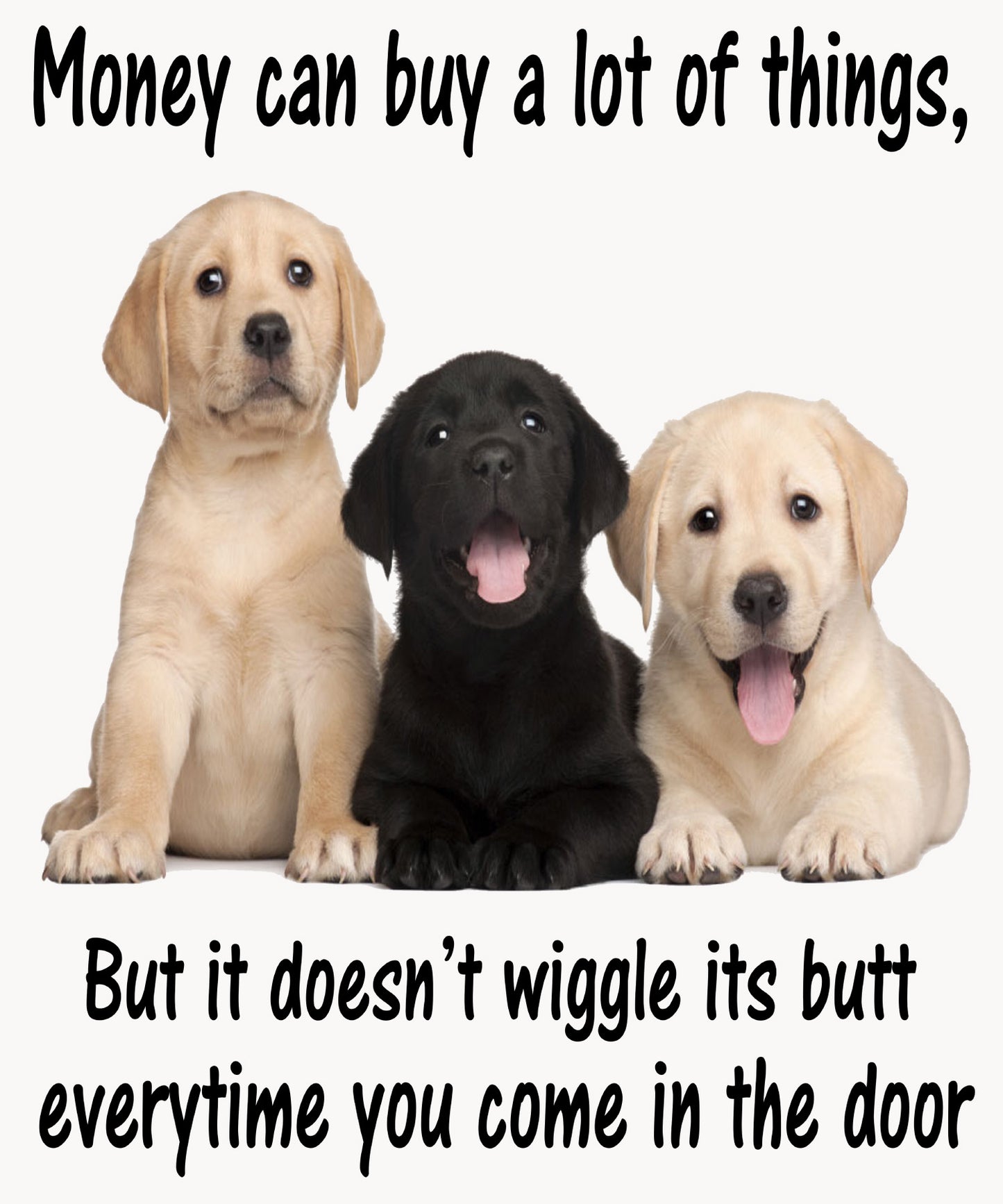 "Money can buy a lot of things but it doesn't wiggle....".