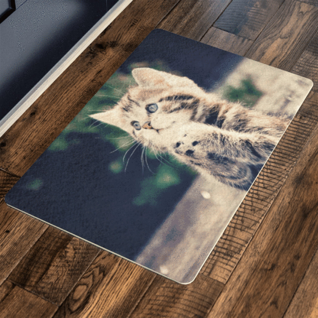 Cute Sweet Cat Special Doormat For homes Exclusive ( Best price Deal)