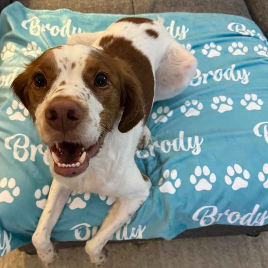 Pets Name Blanket (Personalized)