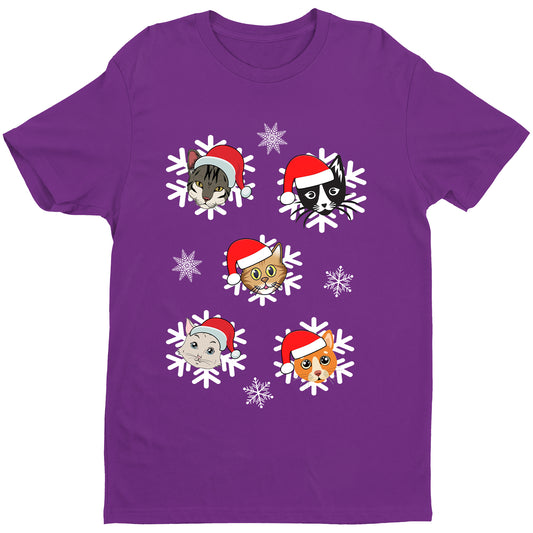" Cats snowflakes belongs to "