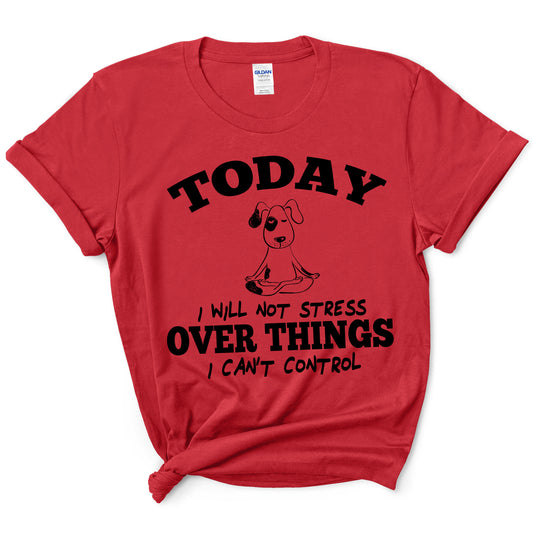 "TODAY I WILL NOT STRESS"